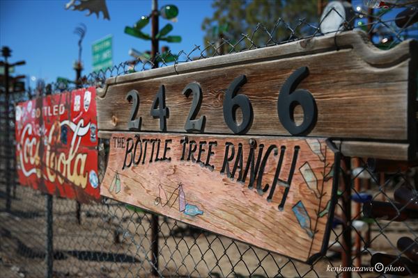 ルート66 ボトルツリーランチ