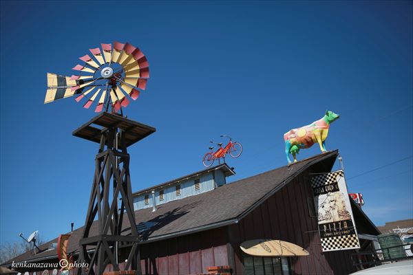 ルート66 ボトルツリーランチ