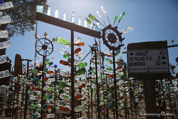 ルート66 ボトルツリーランチ