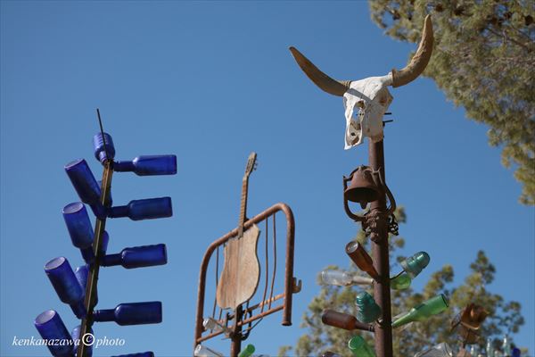 ルート66 ボトルツリーランチ