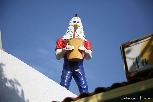 ルート66チキンボーイ