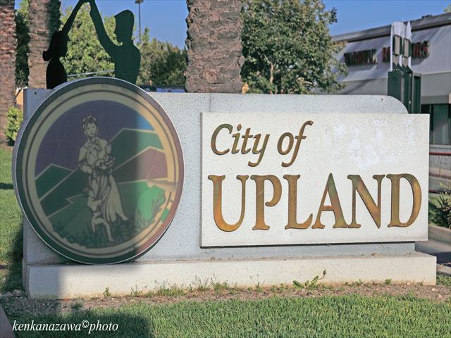 ルート66のマドンナ