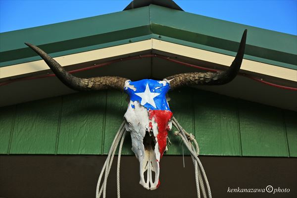 ルート66テキサス州