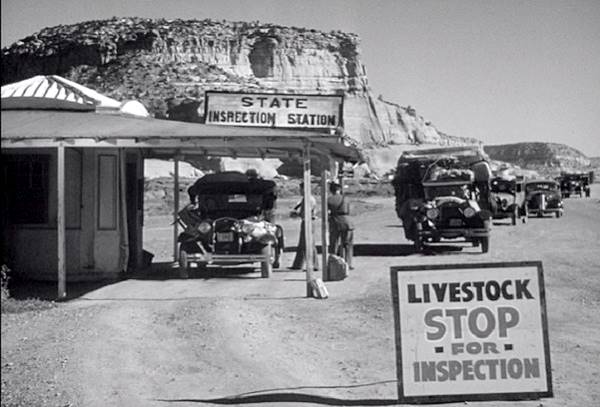 ルート66ラプトン