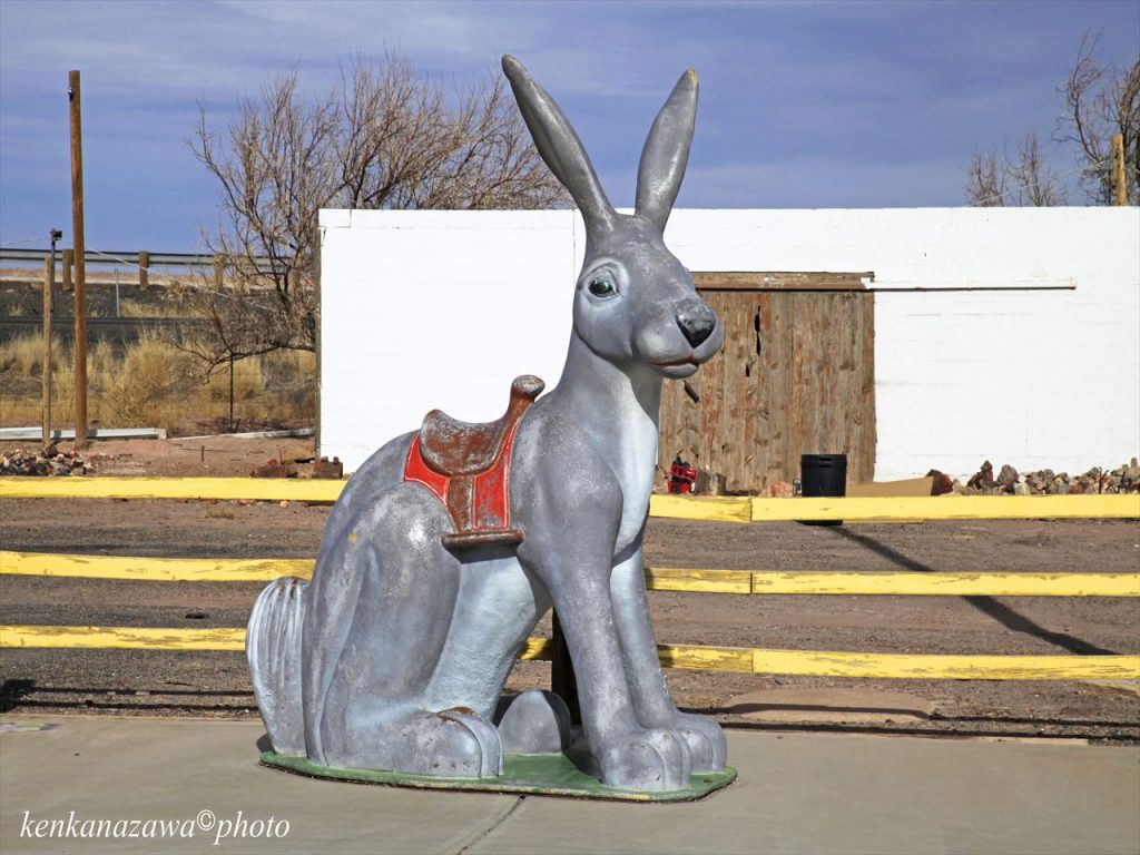 ルート66・ジャックラビット